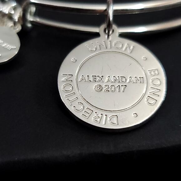 Alex and Ani Arrows of Friendship Charm Bracelet - Picture 7 of 9